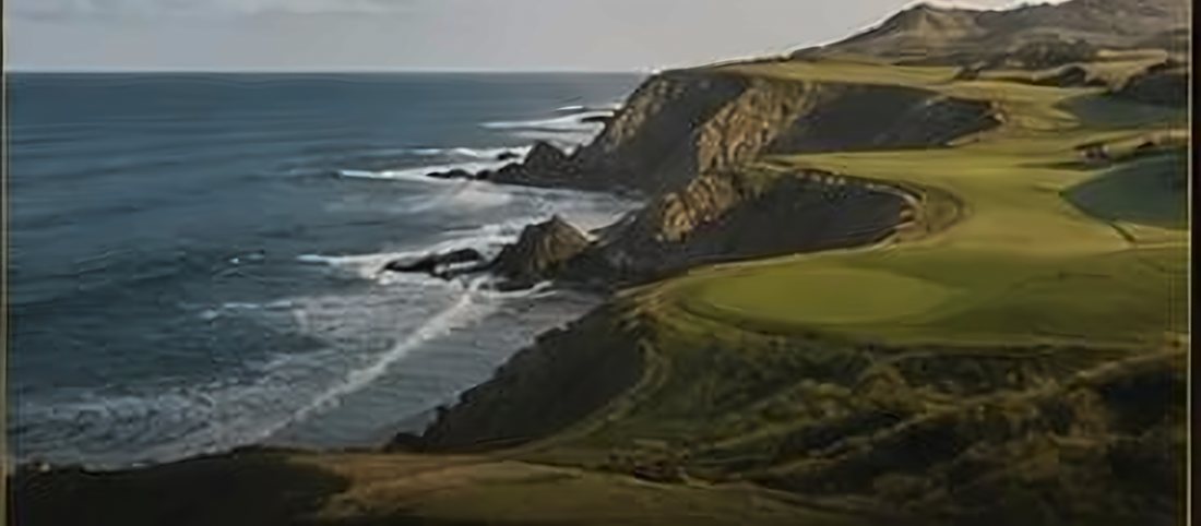 Illustration inspired by Kauri Cliffs